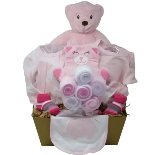 Baby gift sets and gift baskets