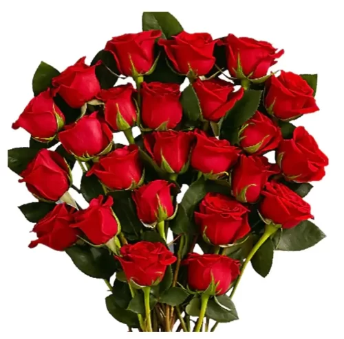 24 Roses Rouges à longue tige